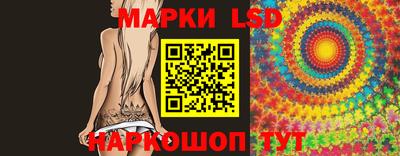 стафф Кандалакша