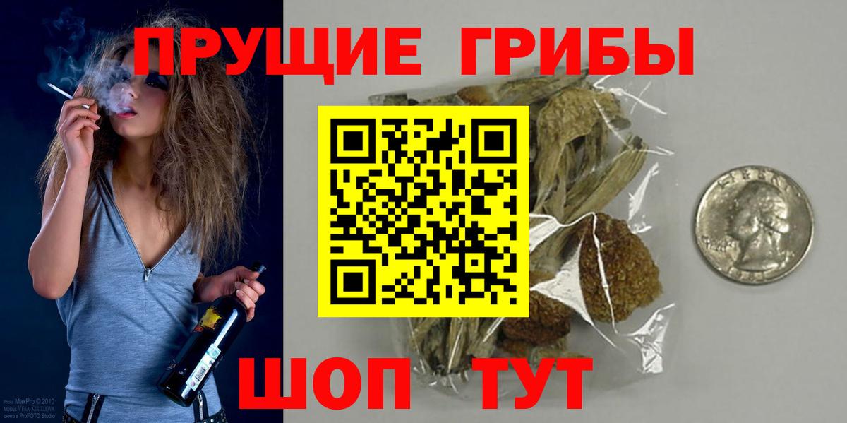 Псилоцибиновые грибы прущие грибы  Галлюциногенные грибы ЛСД  Курчатов  наркотики  Вход с VPN 
