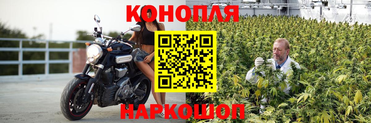 Каннабис семена  Канабис Ganja  Вход с VPN  Курчатов  Бошки марихуана White Widow 